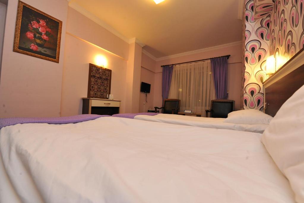 Basak Termal Hotel 크즐자하맘 객실 사진
